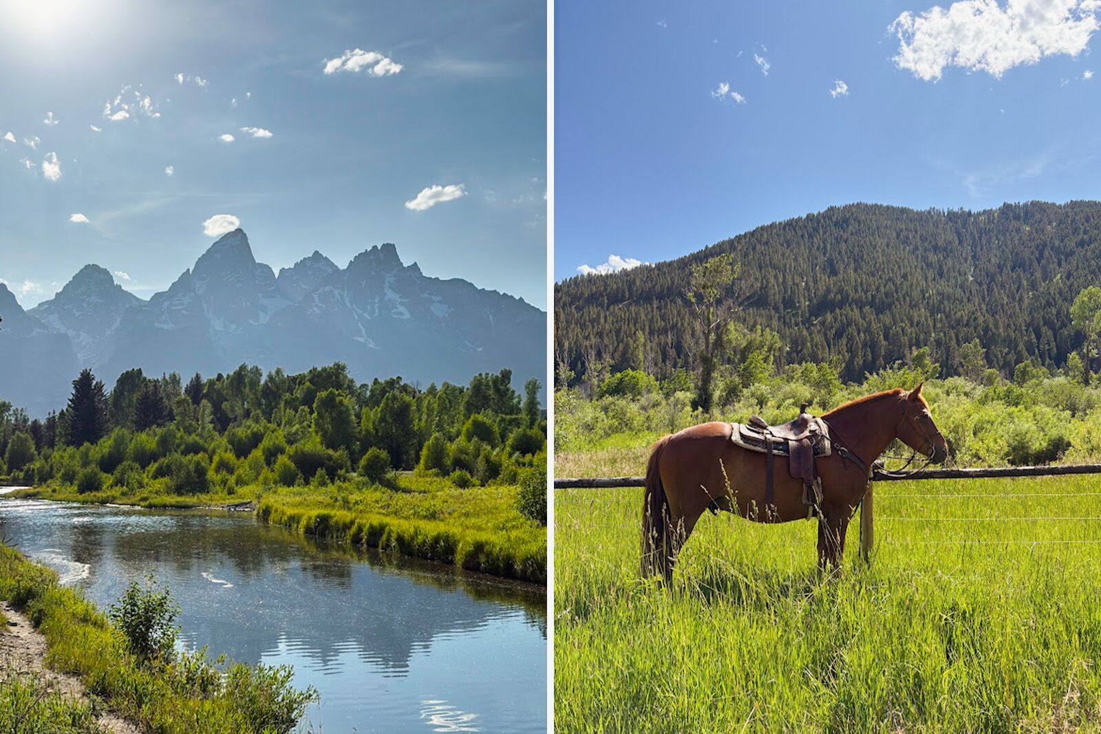 the sylvan lodge Wyoming