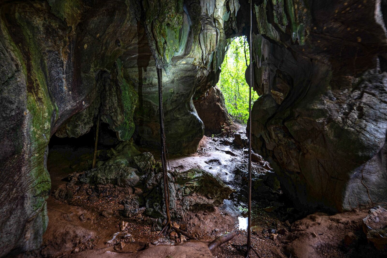 jurassic park rebirth- tropical limestone cave