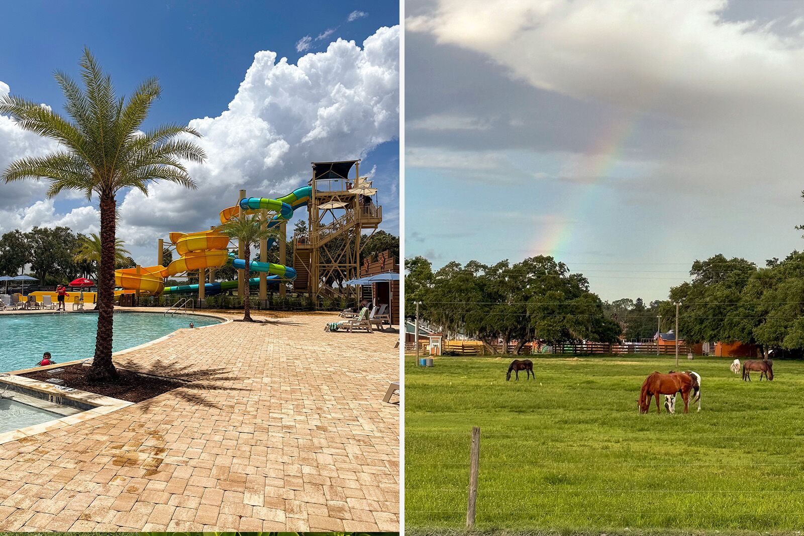 westgate river ranch resort