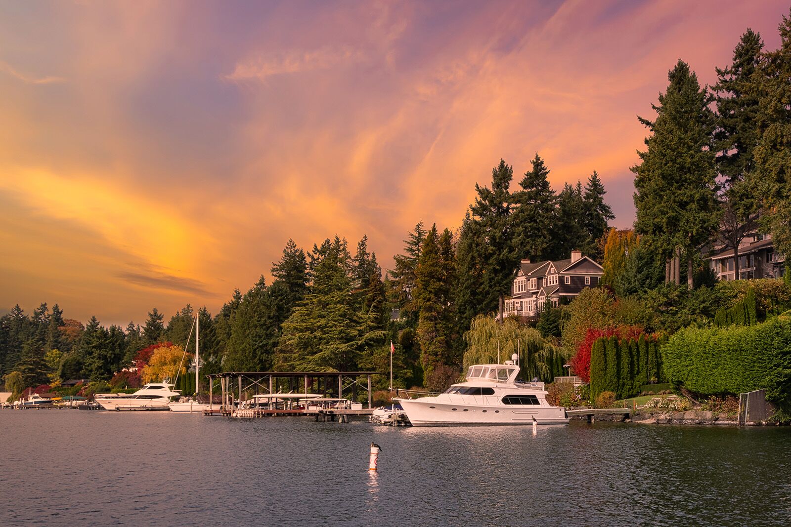things to do in Bellevue Washington