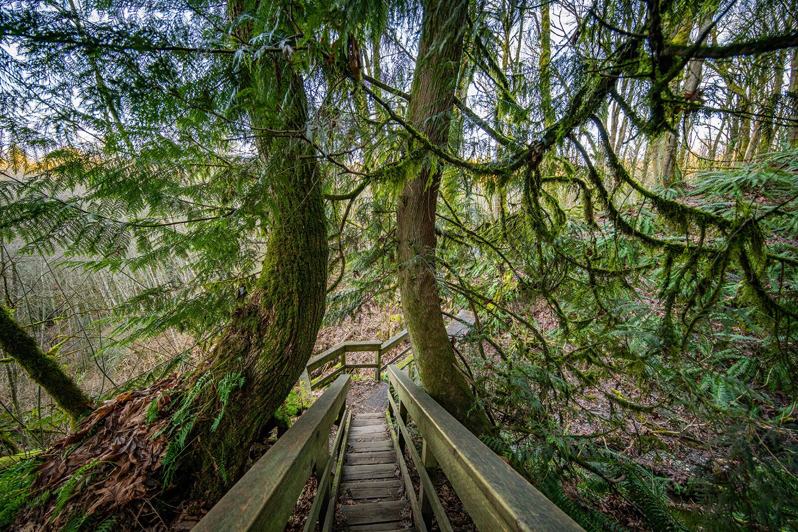 things to do in Bellevue Washington