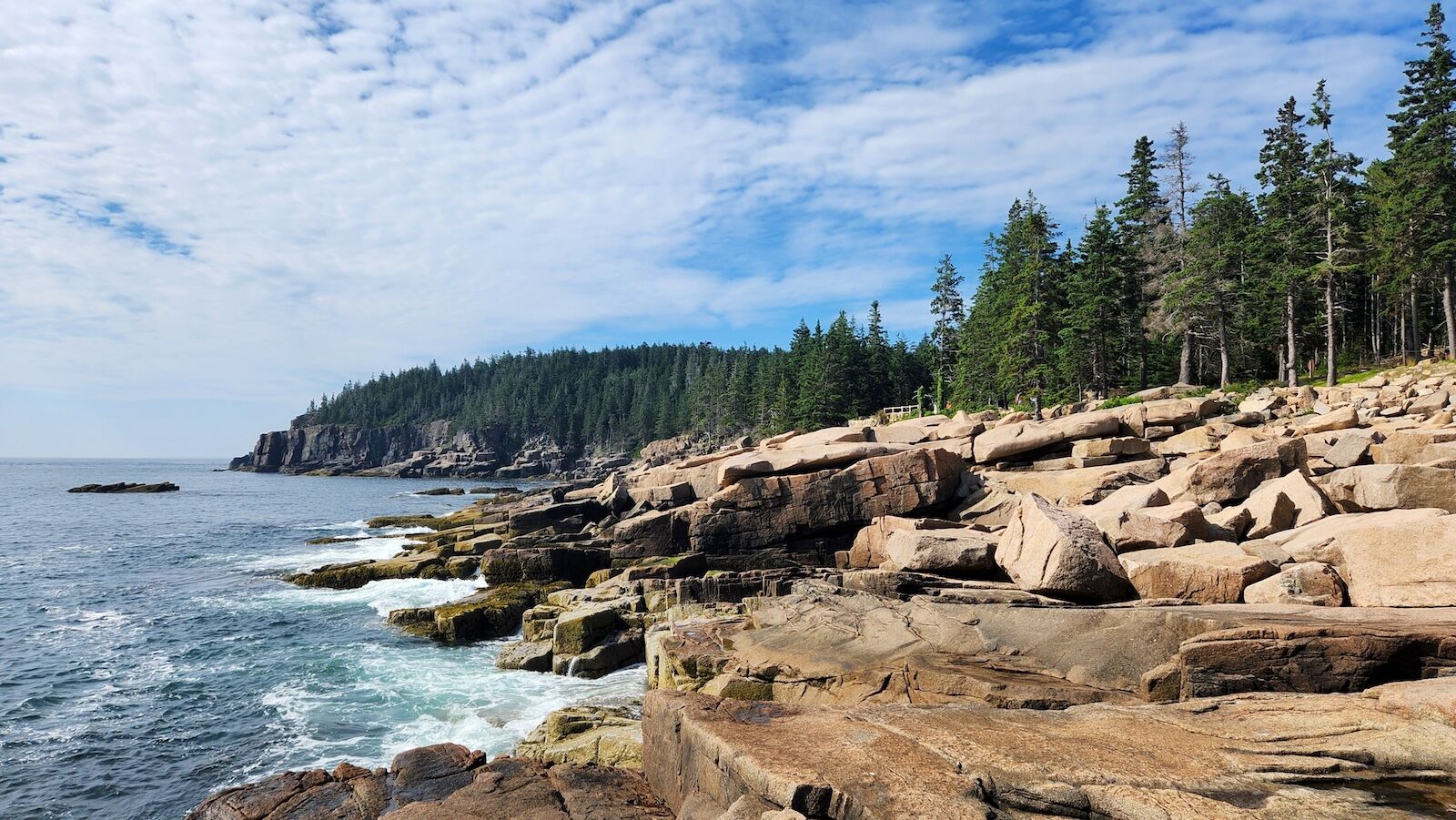 acadia national park coastline