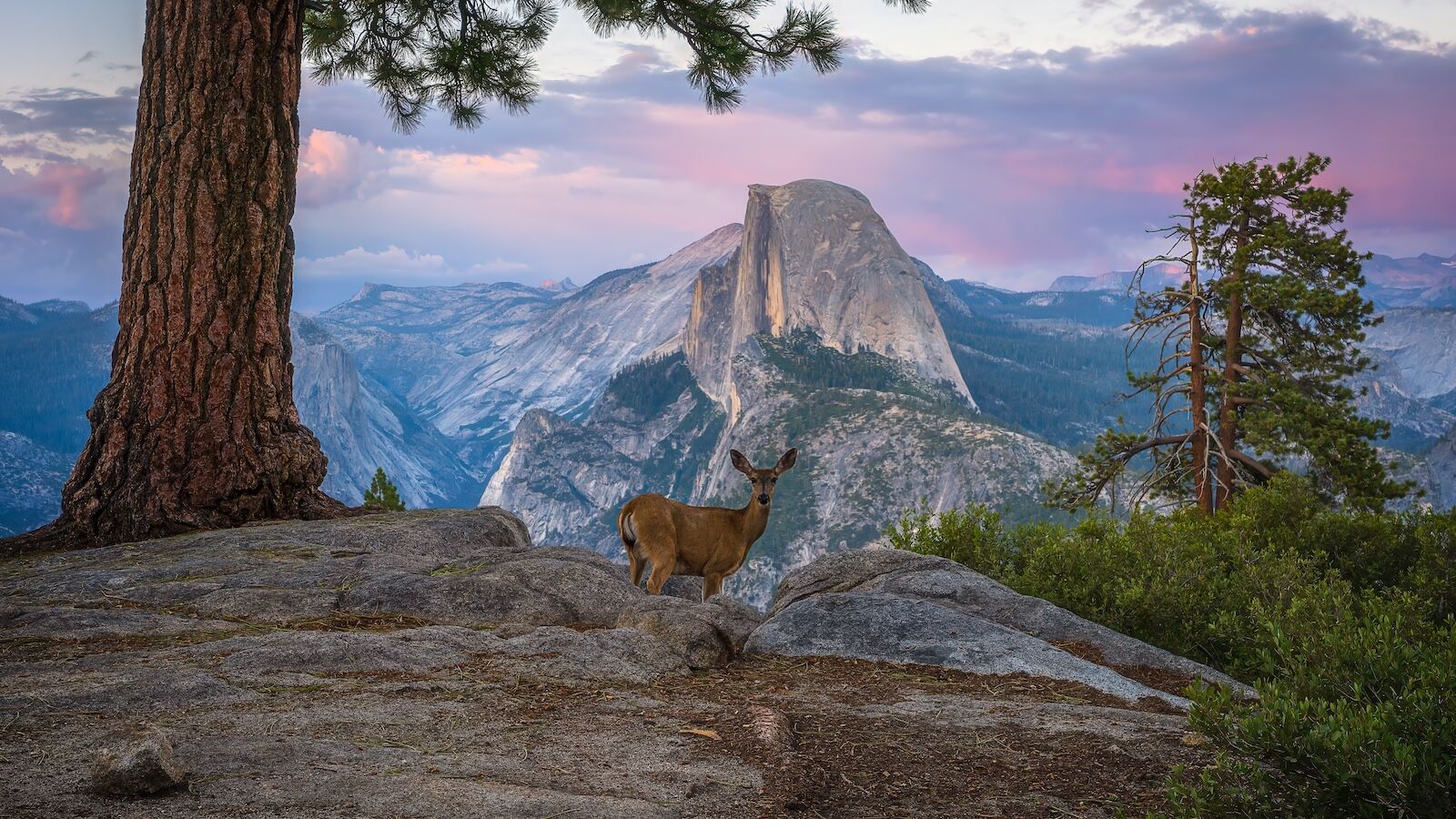 how were national parks founded -  yosemite national park 