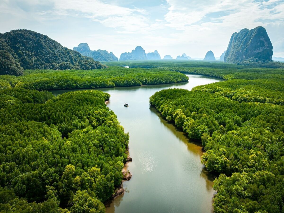 Dinosaurs Roam Again Thailand 39 s - Shutterstock 2618536479 2 1200x900