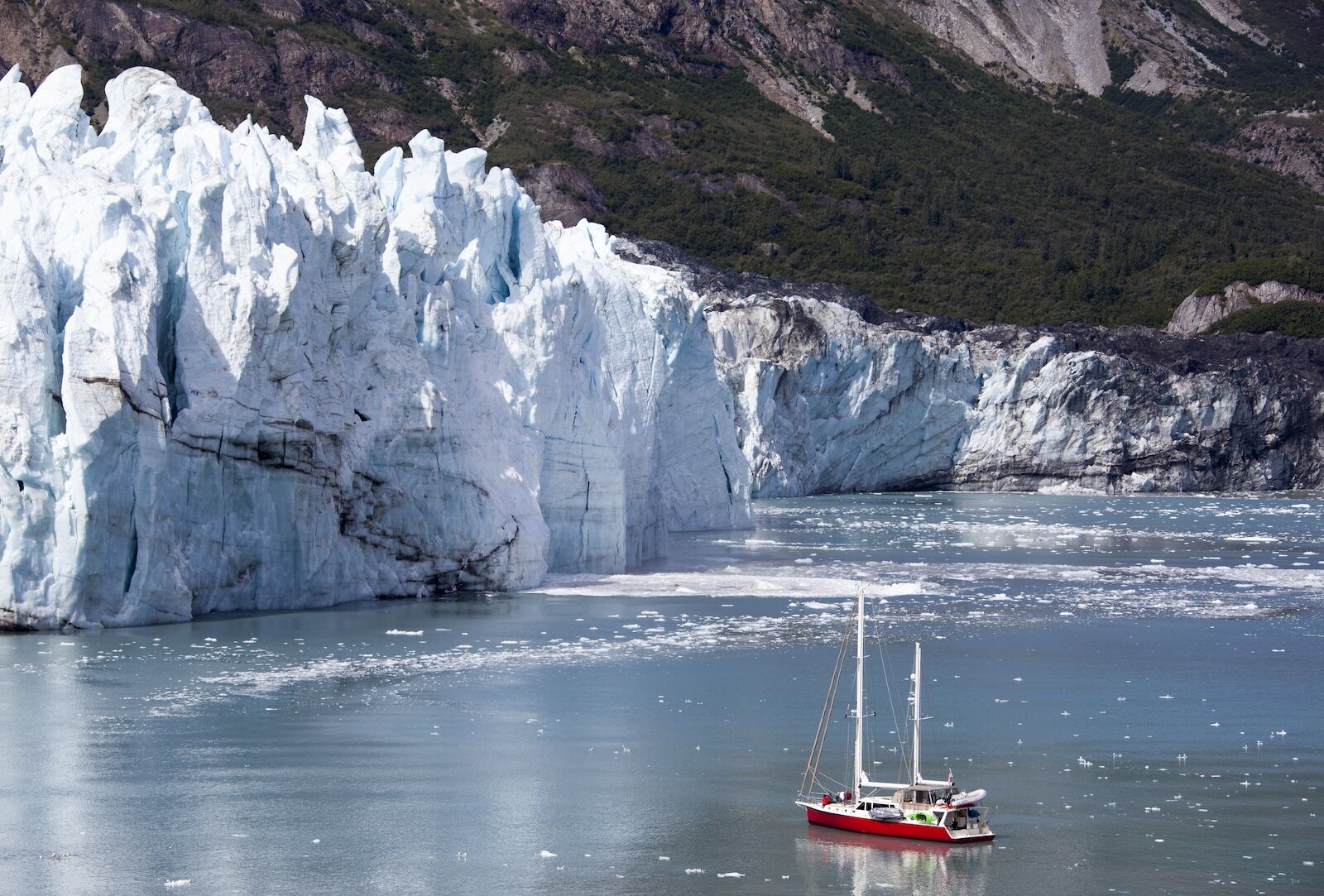 national park cruises - glacier bay