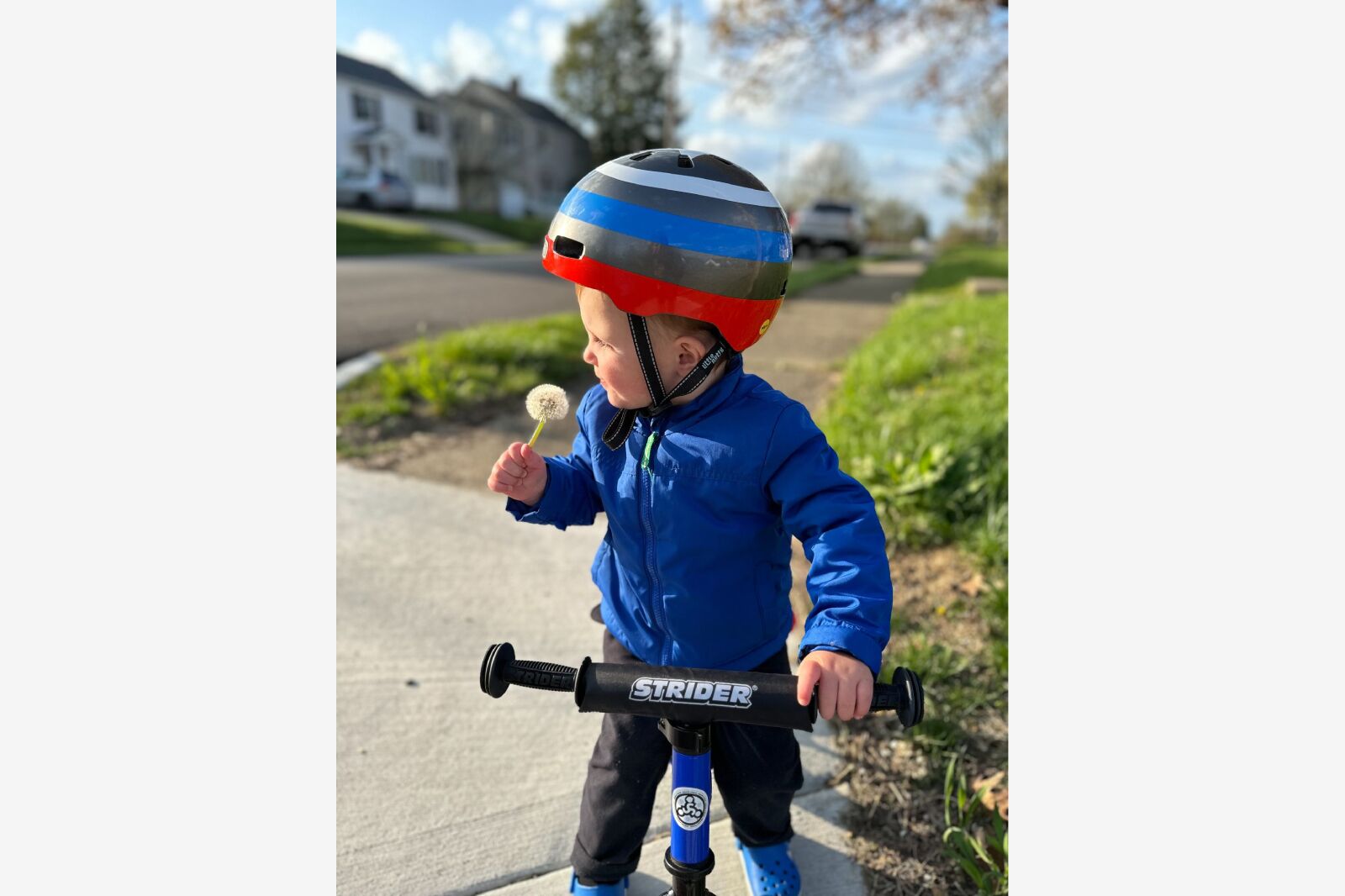 toddler riding a strider bike