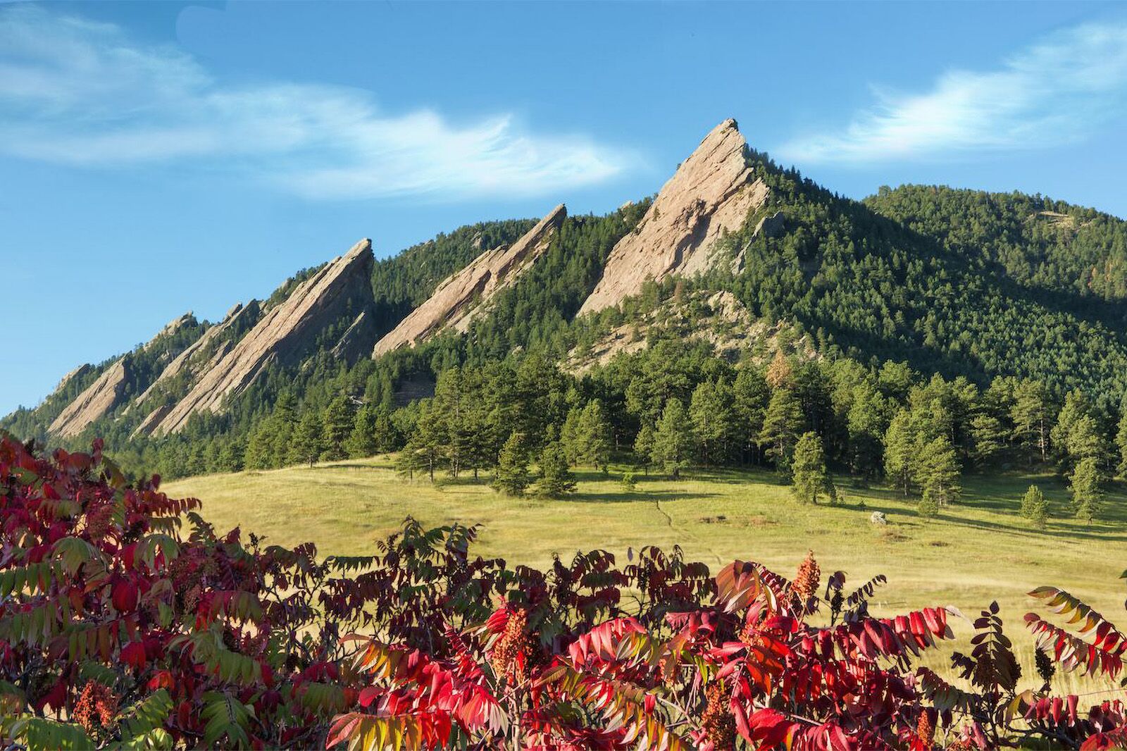 Boulder Flatirons with red sumac foliage