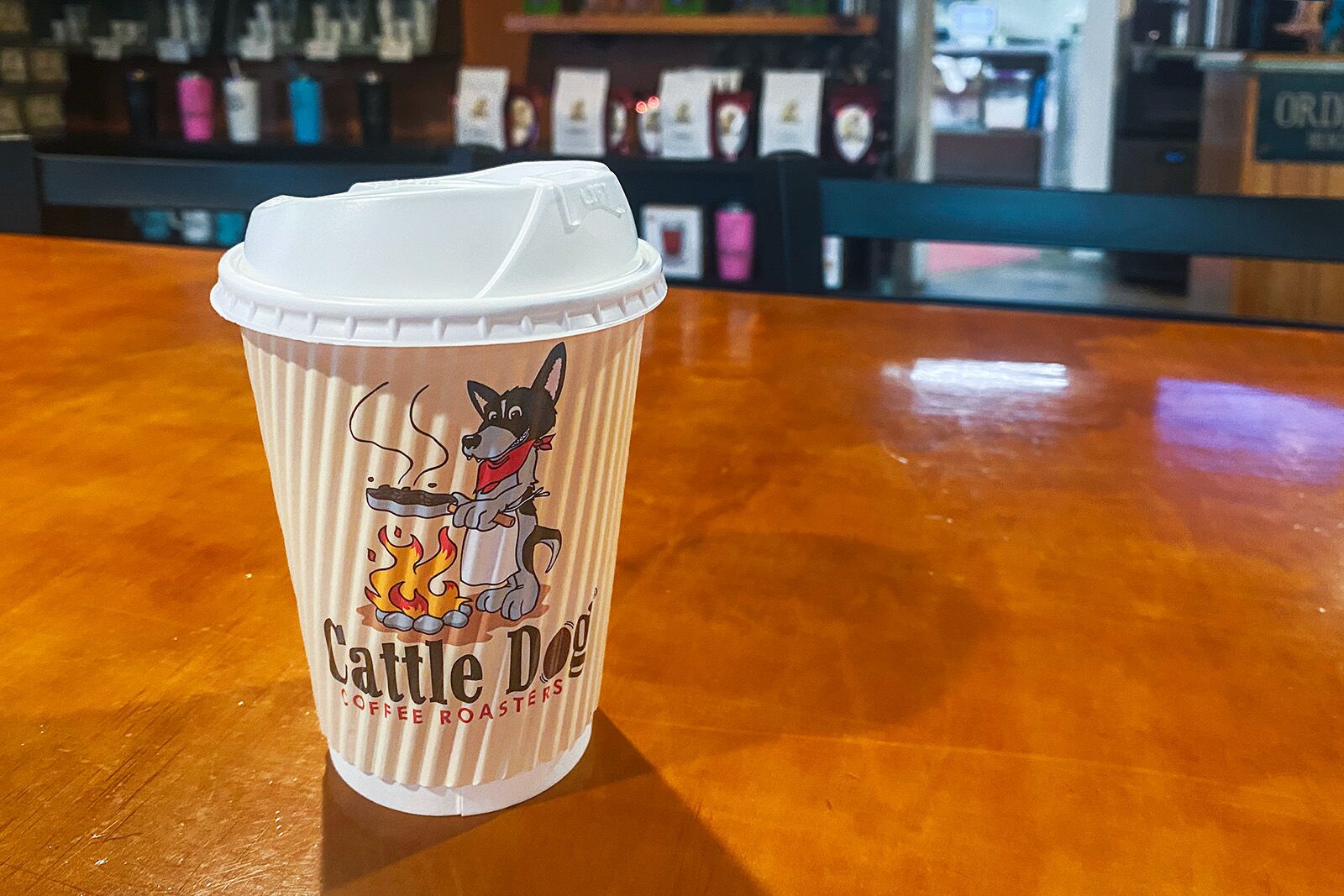 things to do in citrus county