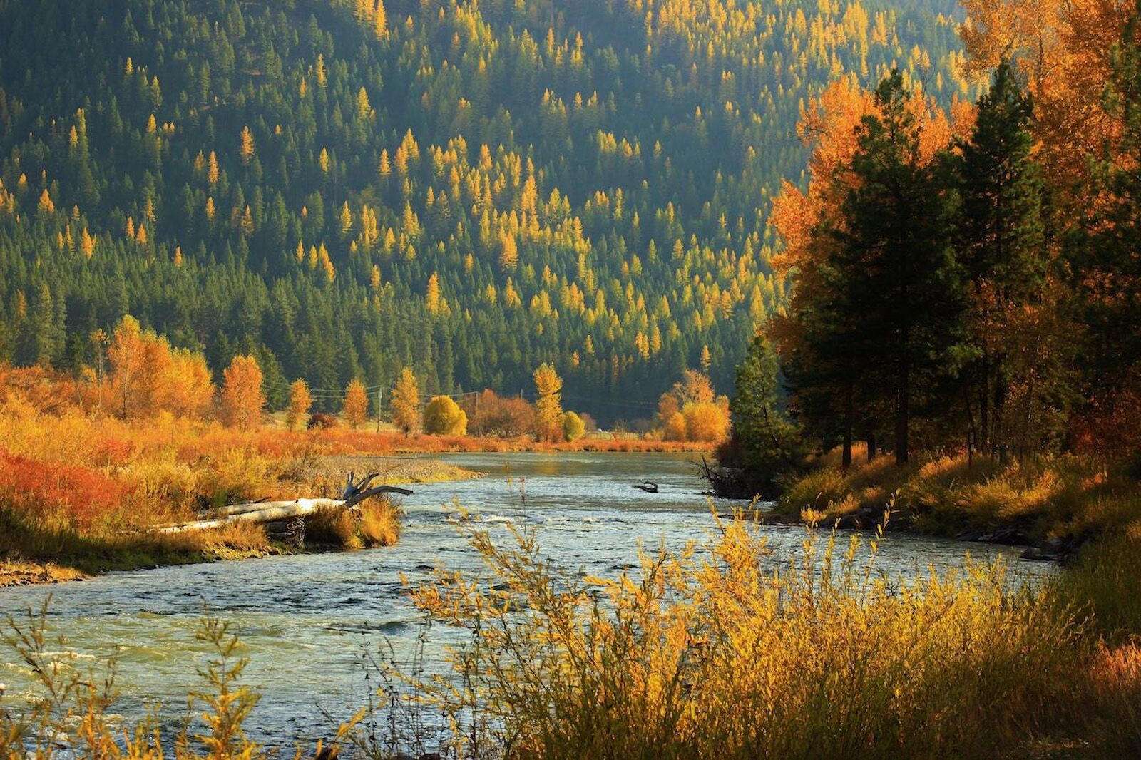 Clark Fork River, Montana