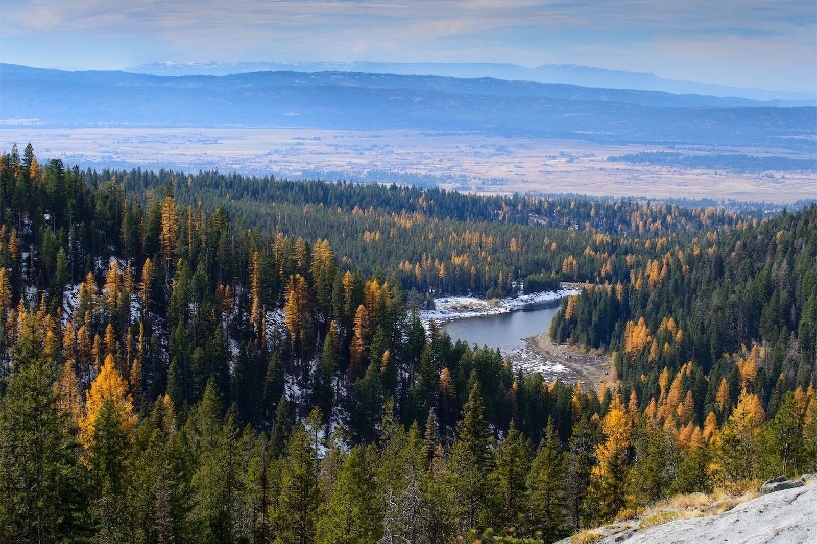Fall foliage in Idaho