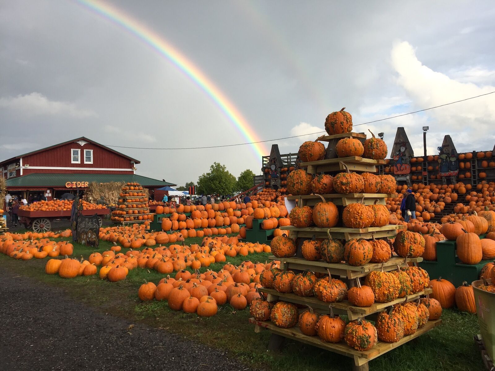 us pumpkin festivals - pumpkin farm
