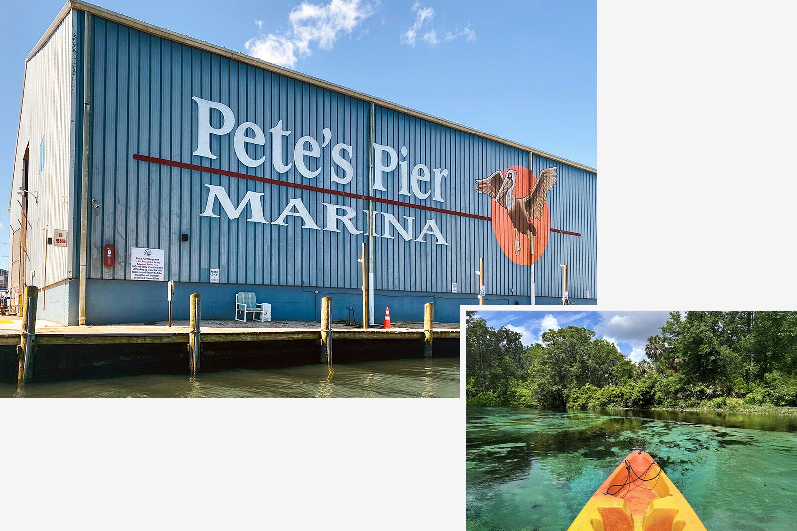 things to do in citrus county