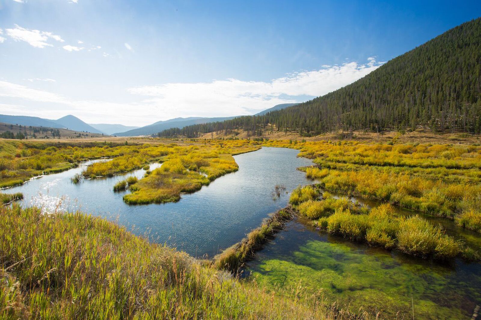 Landscape and fall foliage