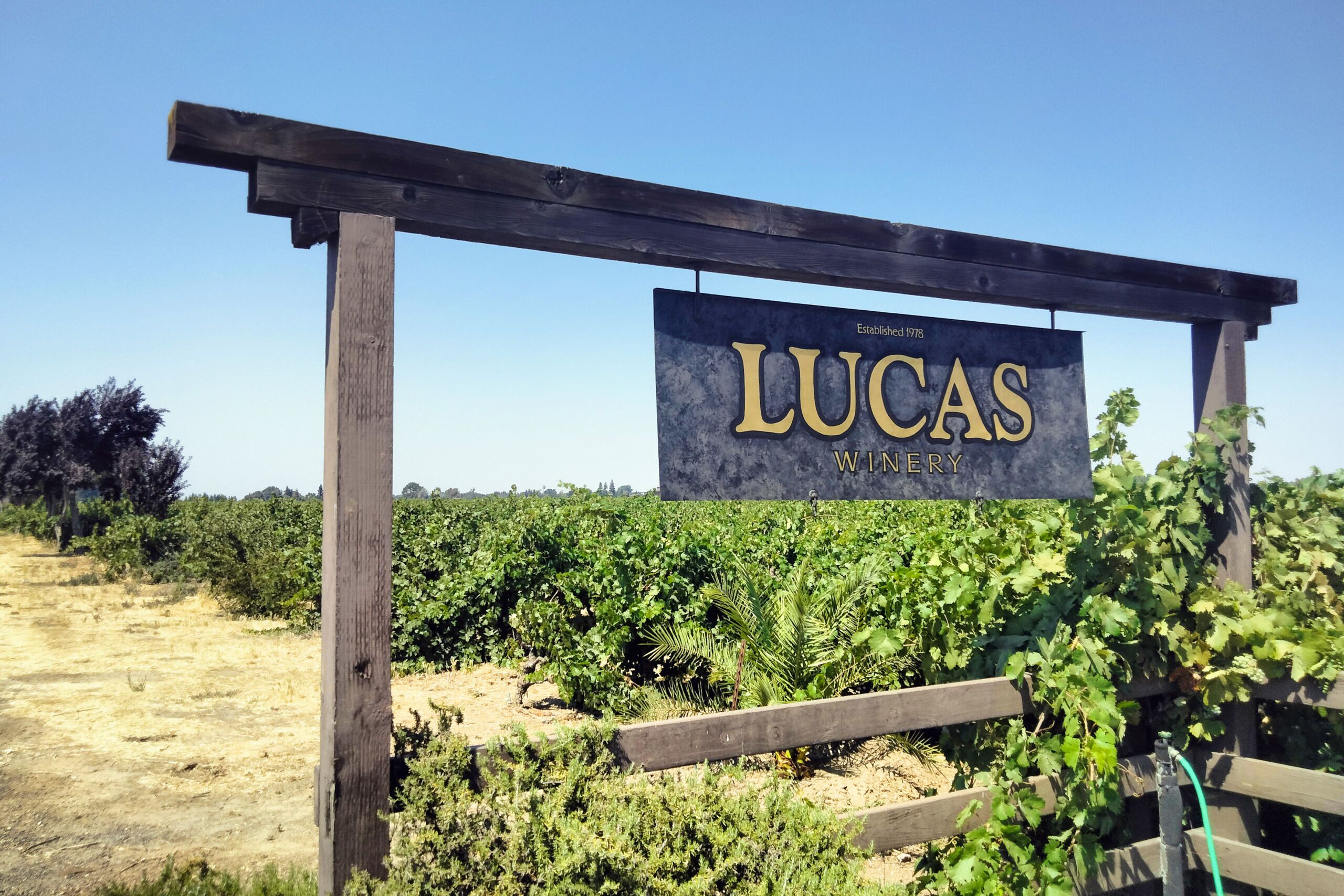 Things to do in Lodi California