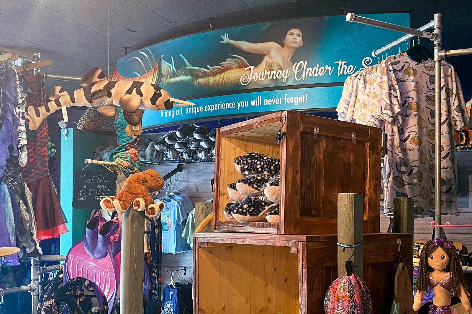 things to do in citrus county