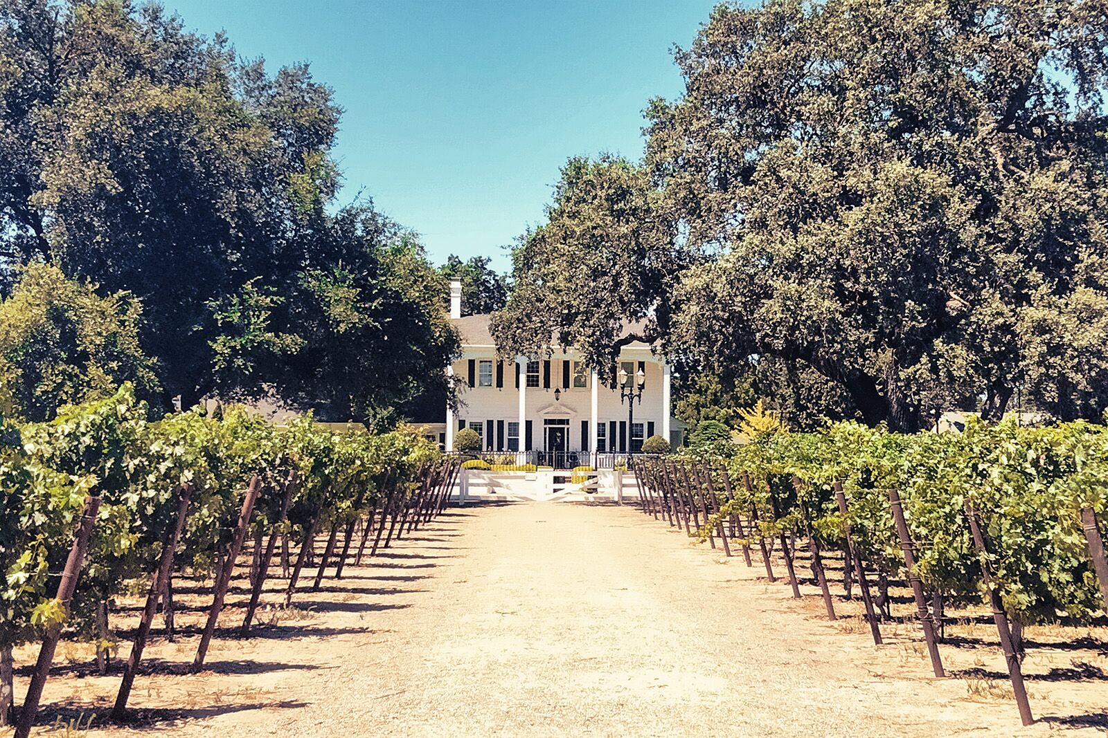 Things to do in Lodi California