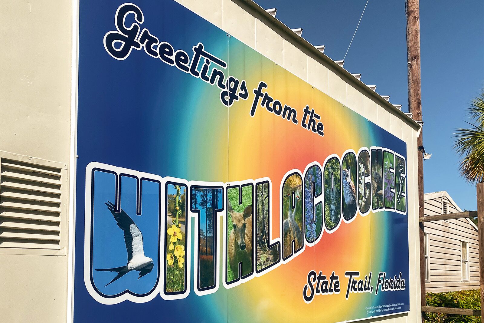 things to do in citrus county