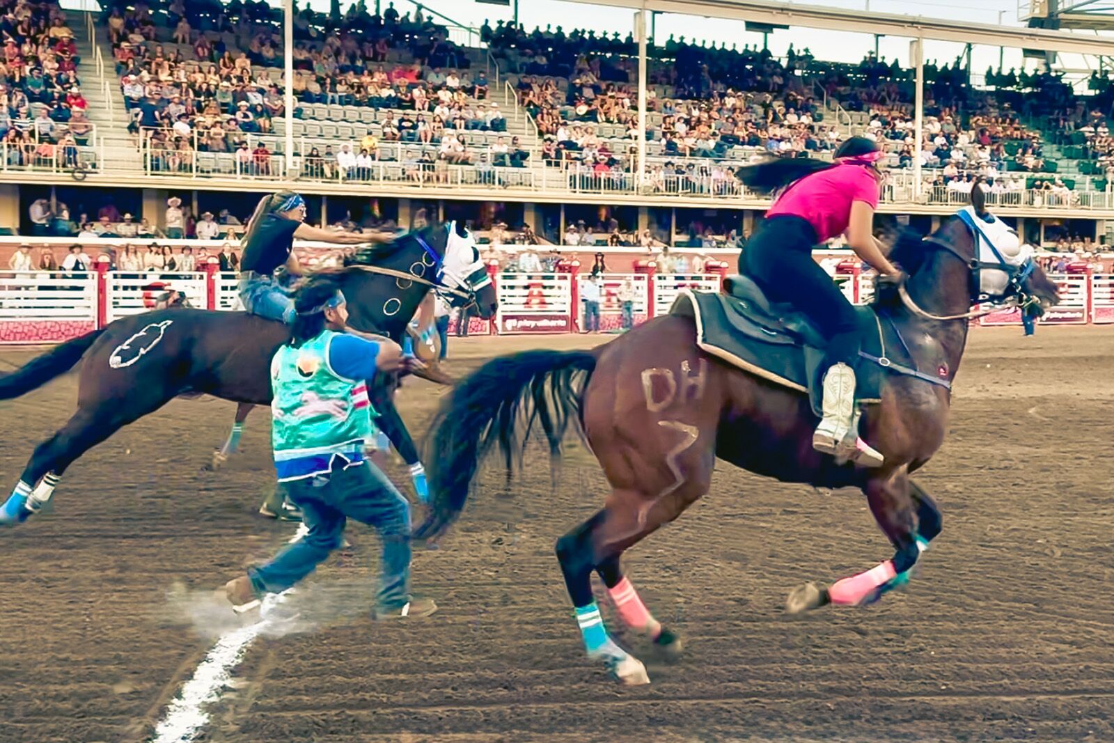 calgary stampede