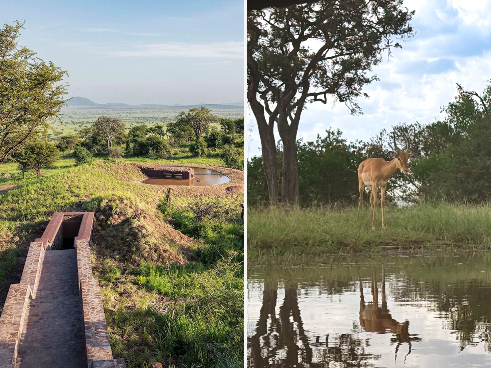 serengeto explorer lodge tanzania - photo hide entrance and animal