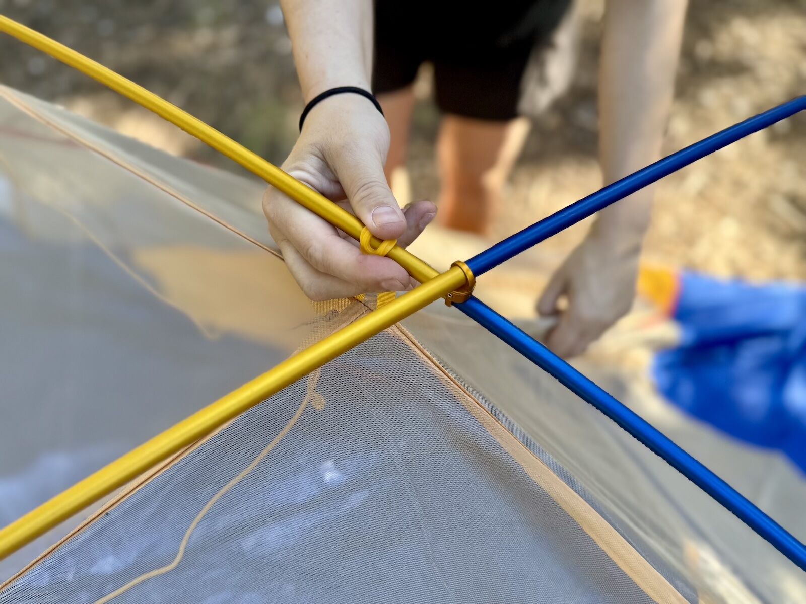 marmot 3p limelight tent poles