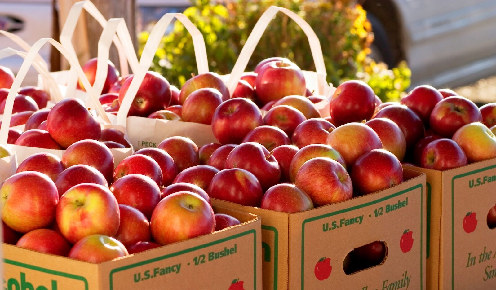 apple cider vermont food experiences