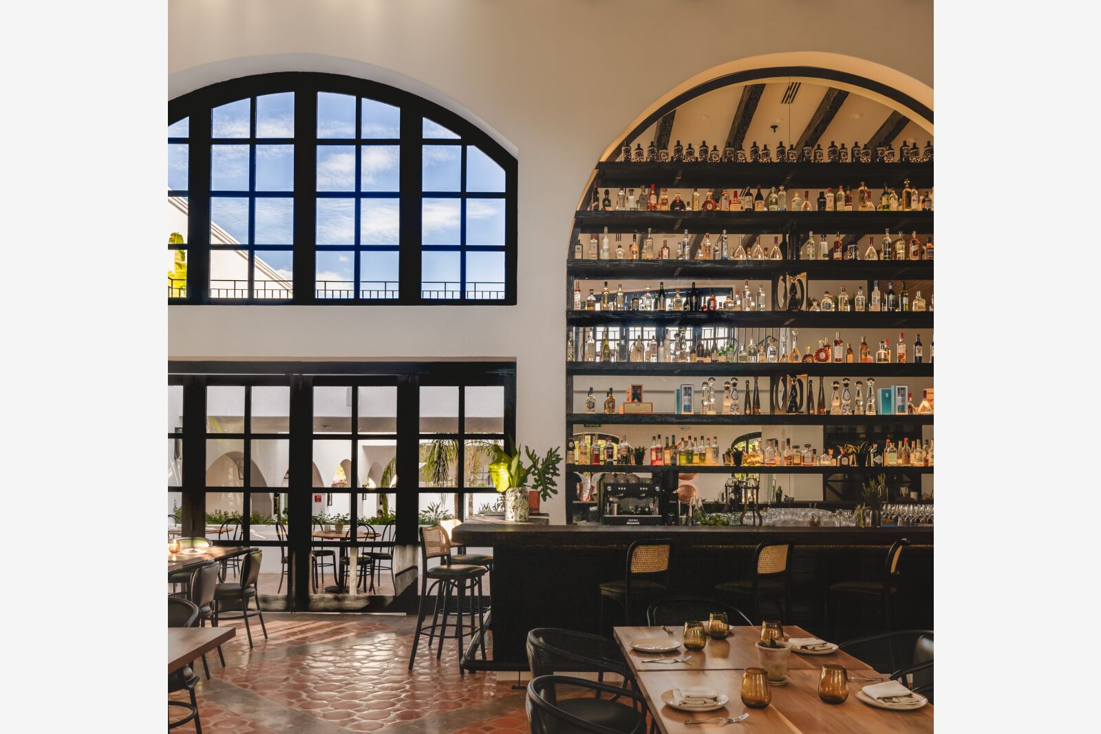 bar at tropicana los cabos