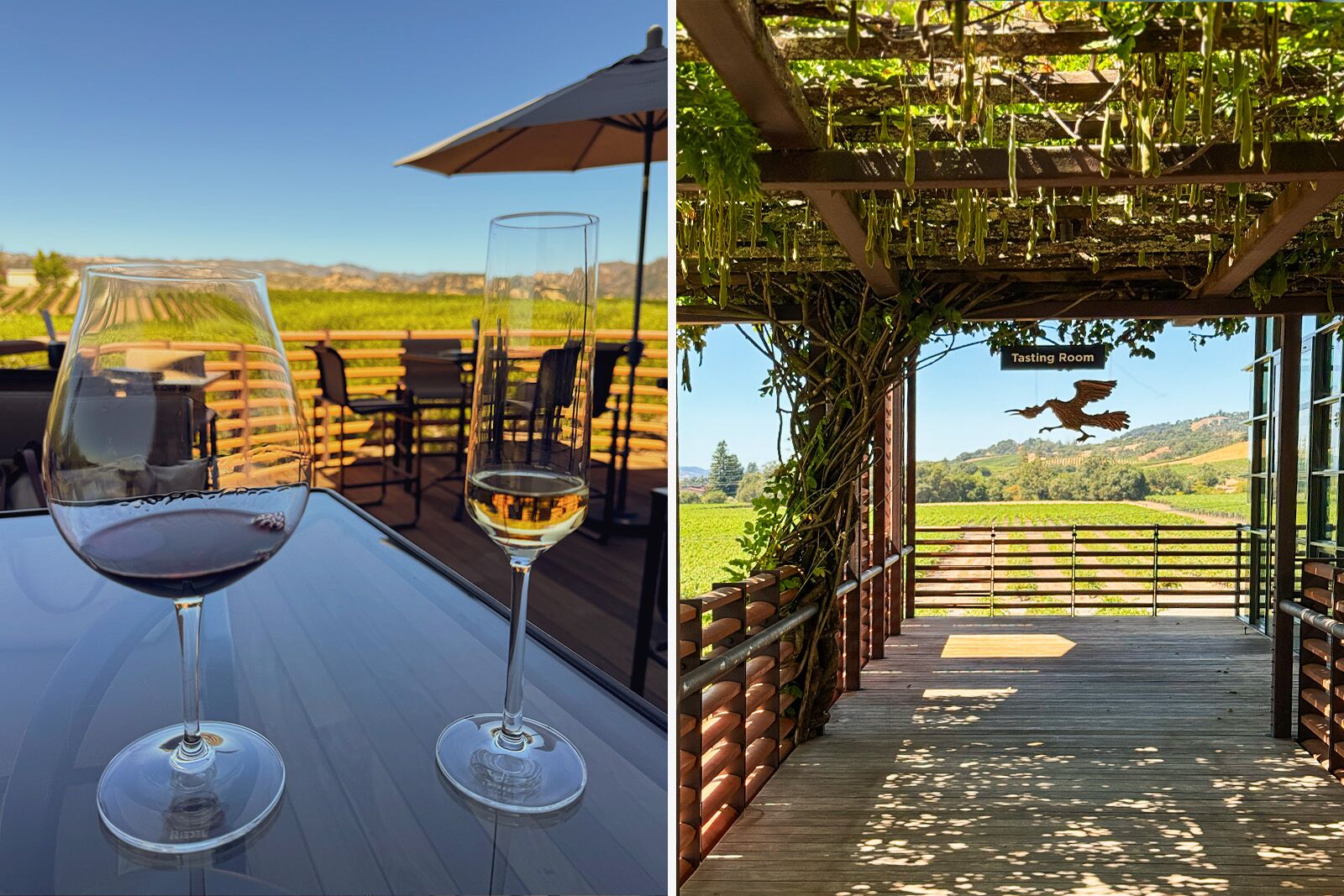 where to stay in sonoma county