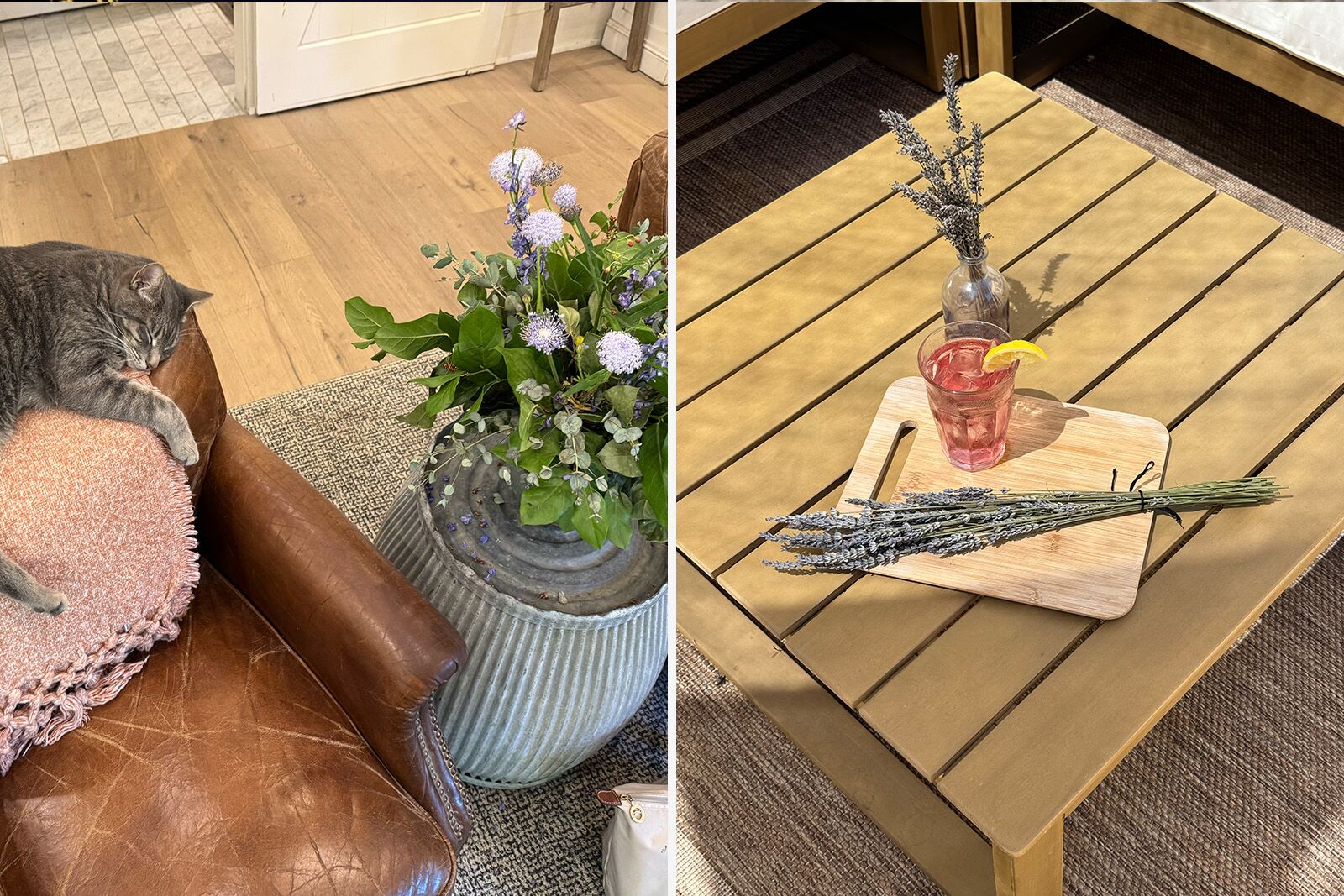 where to stay in sonoma county