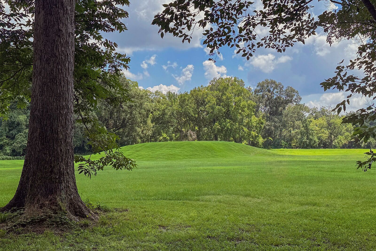 things to do in natchez