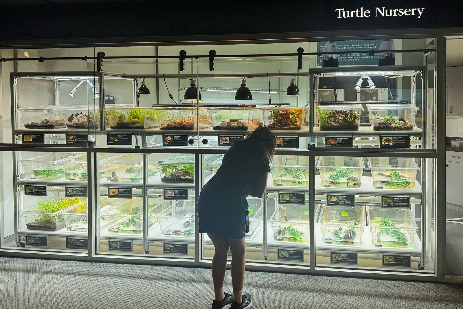 things to do in chattanooga