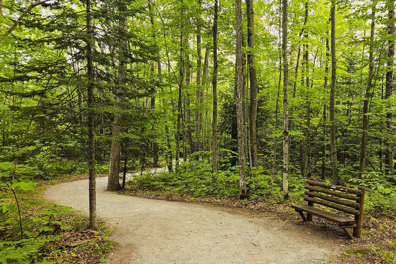 things to do in marquette
