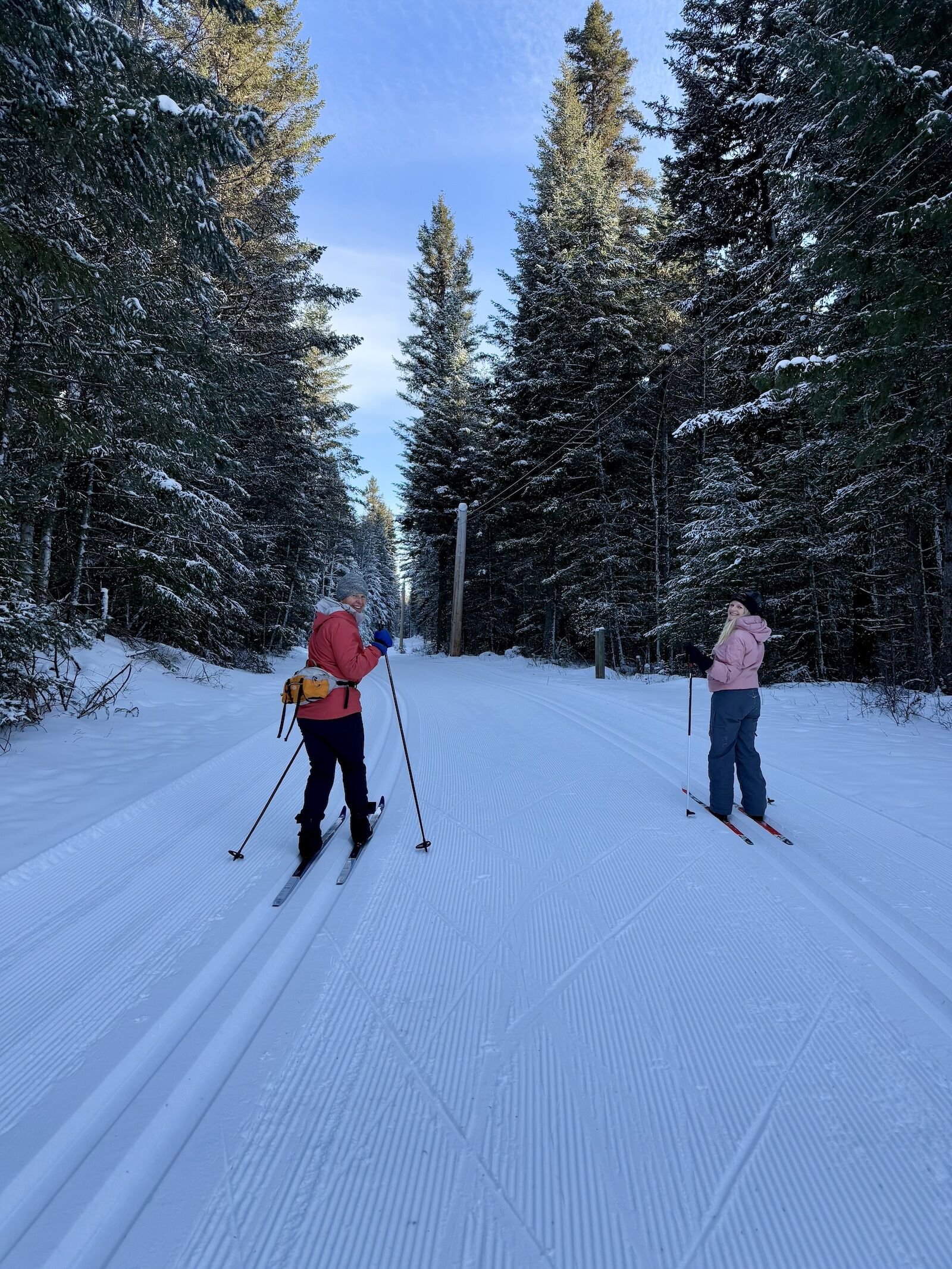 cross-country skiers in forest