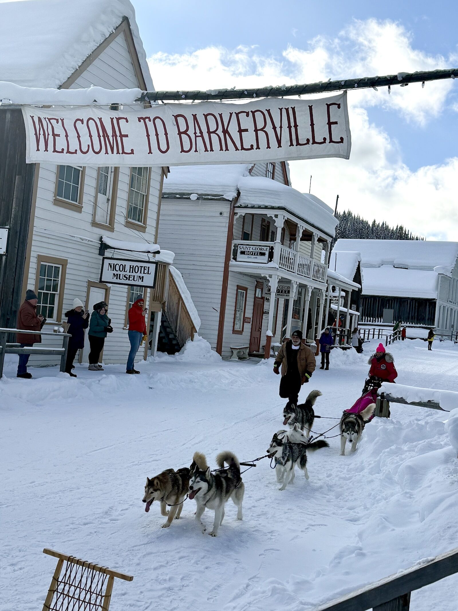 dogsledding in barkerville, british columbia