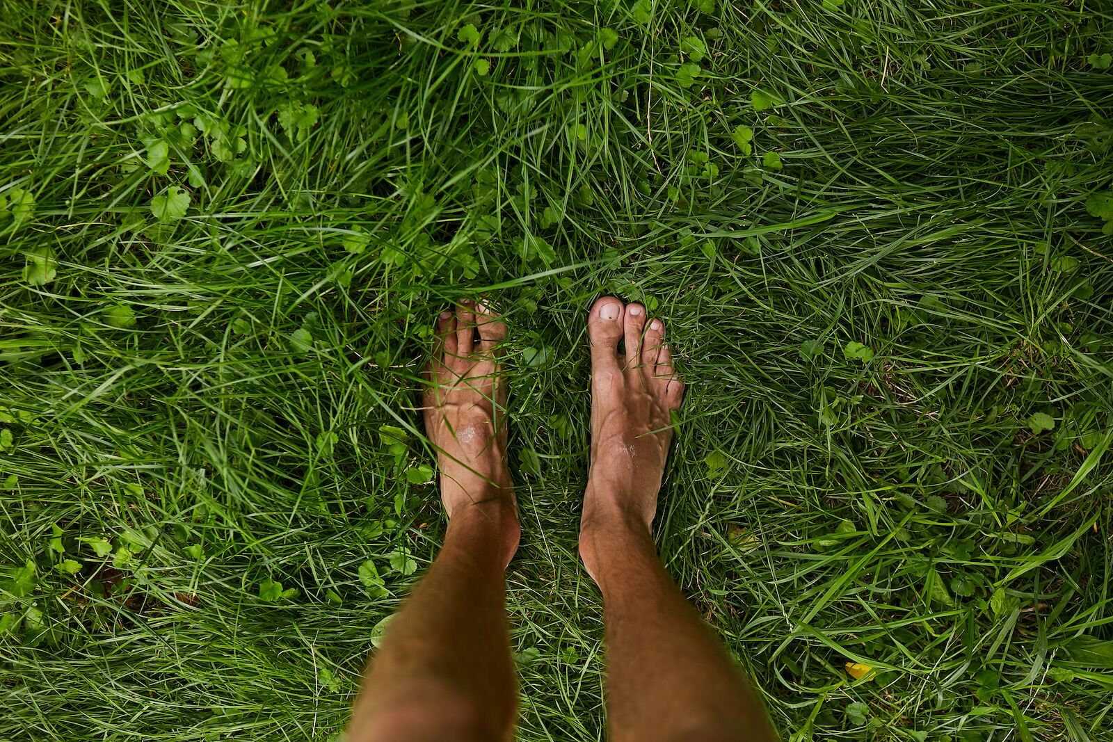 Top view, feet on green grass for background.with copy space. male legs on the green grass. a man stands barefoot on the green grass. vacation