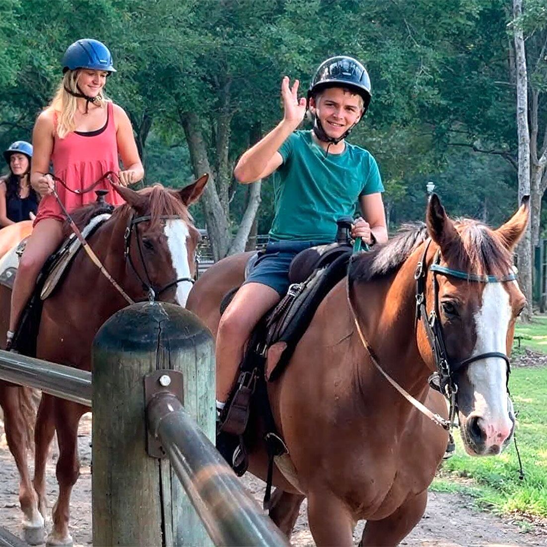 Disney Cabins Dog View