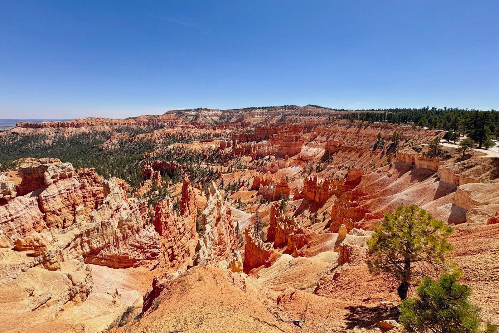 bryce canyon country glampgrounds