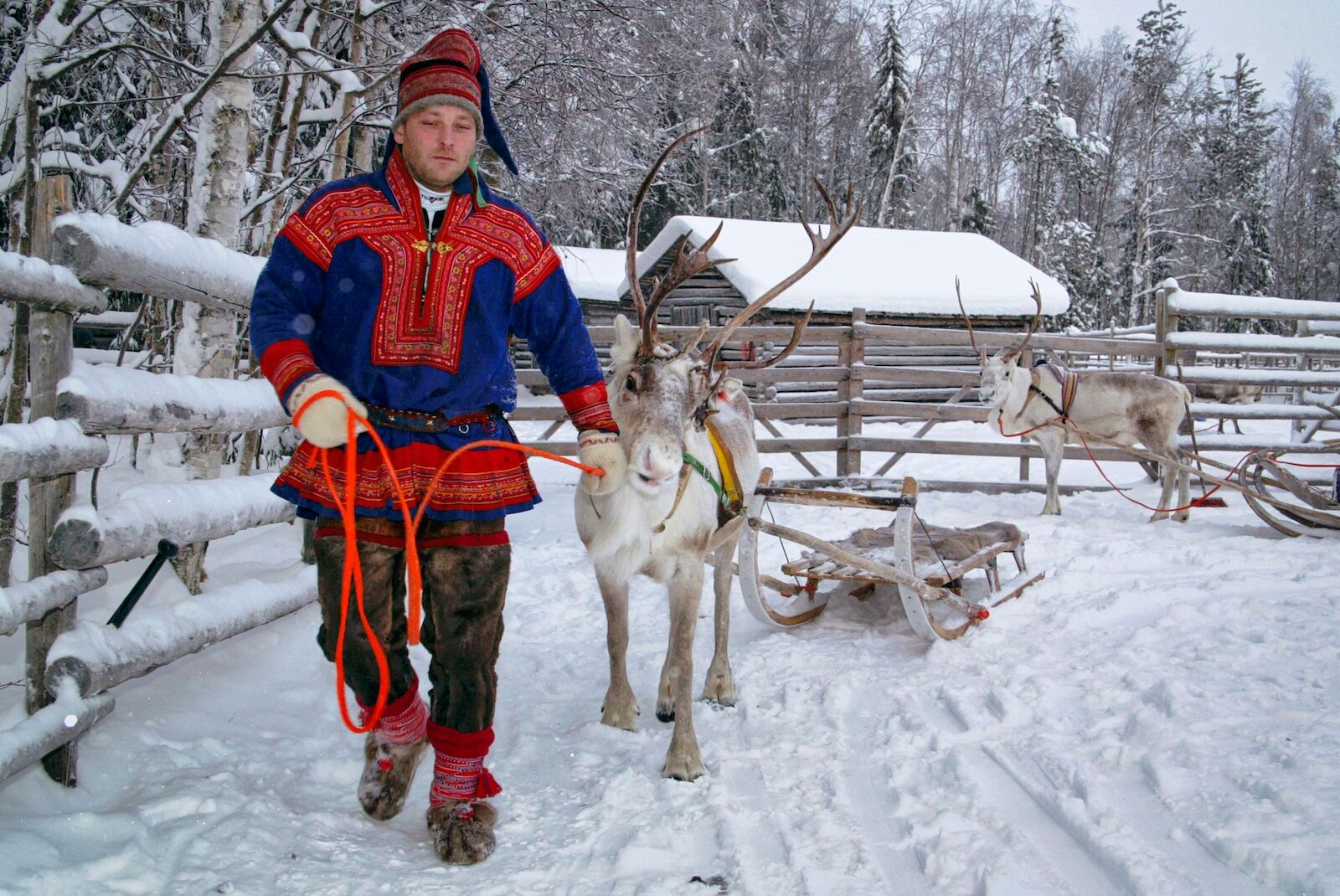 antarctica vs arctic circle - sami herder