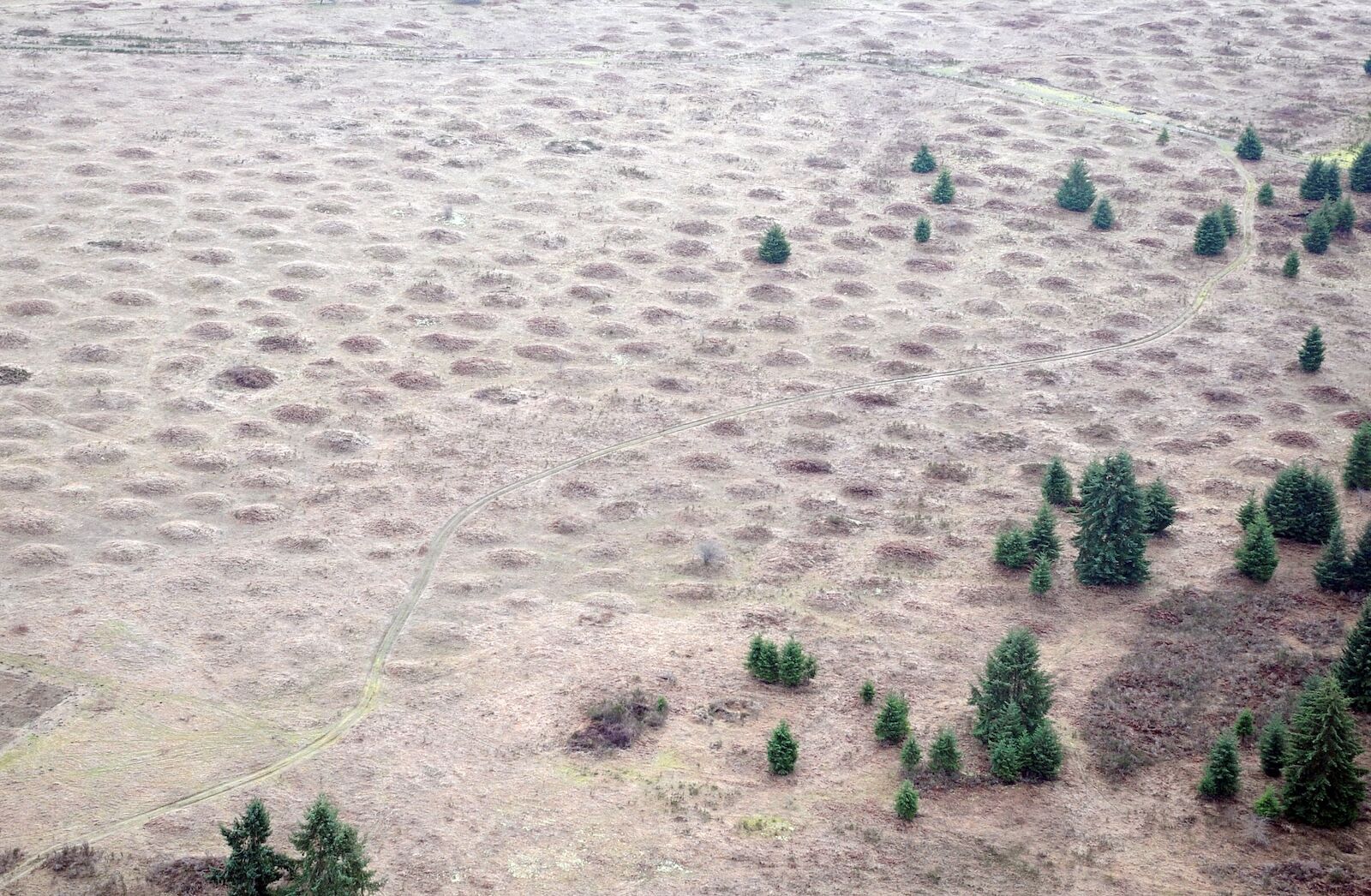 mysterious places in the west - washington mima mounds