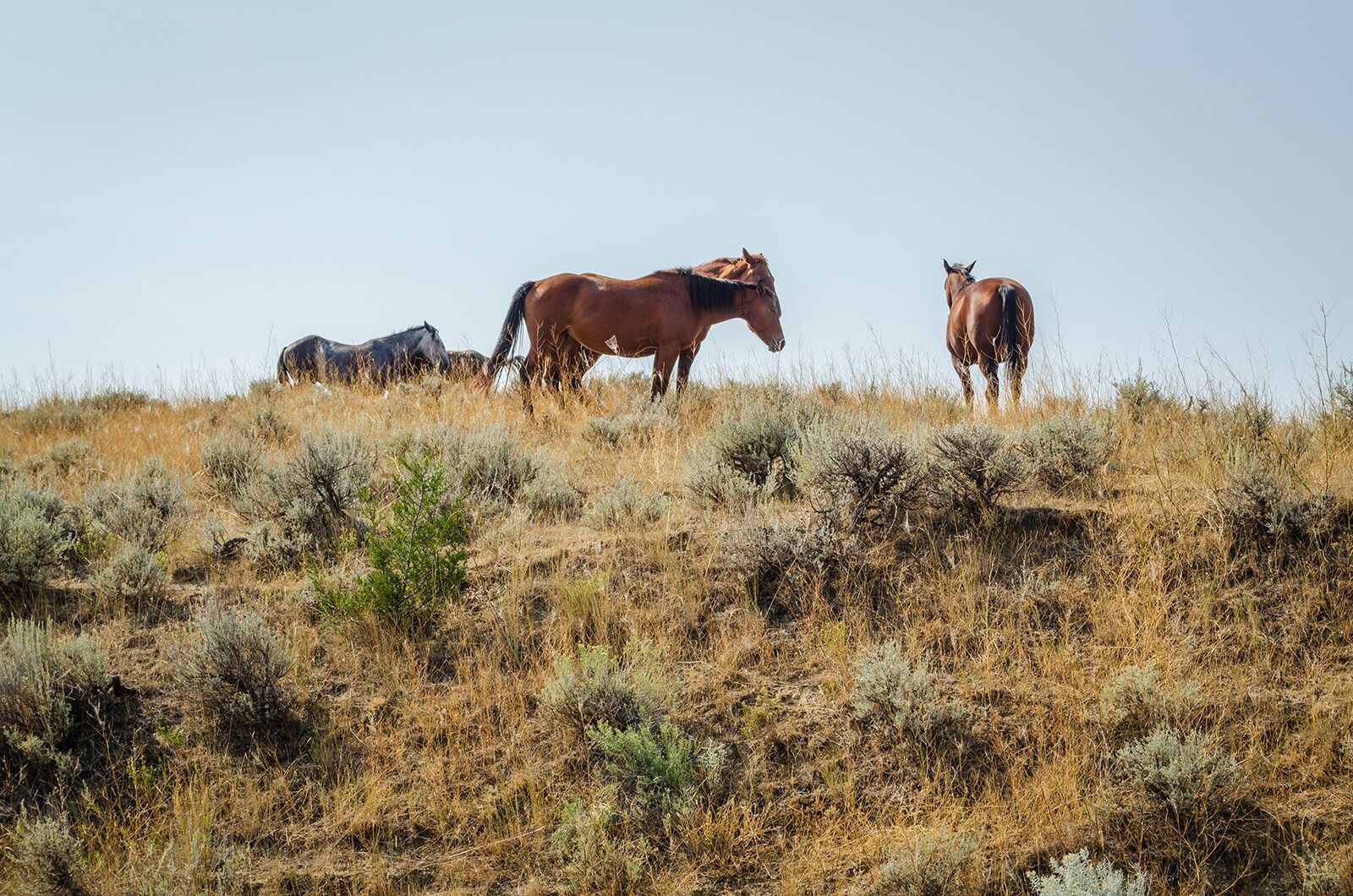 Mysterious places in the US Western US