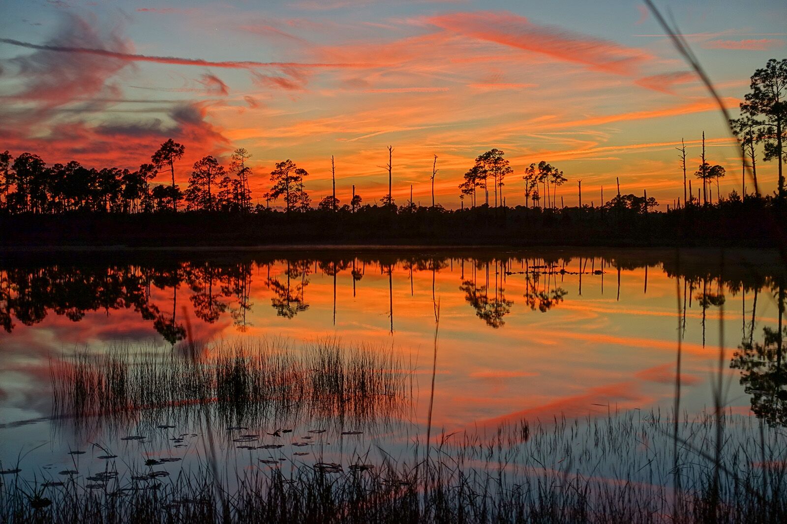 Mysterious places in the US South