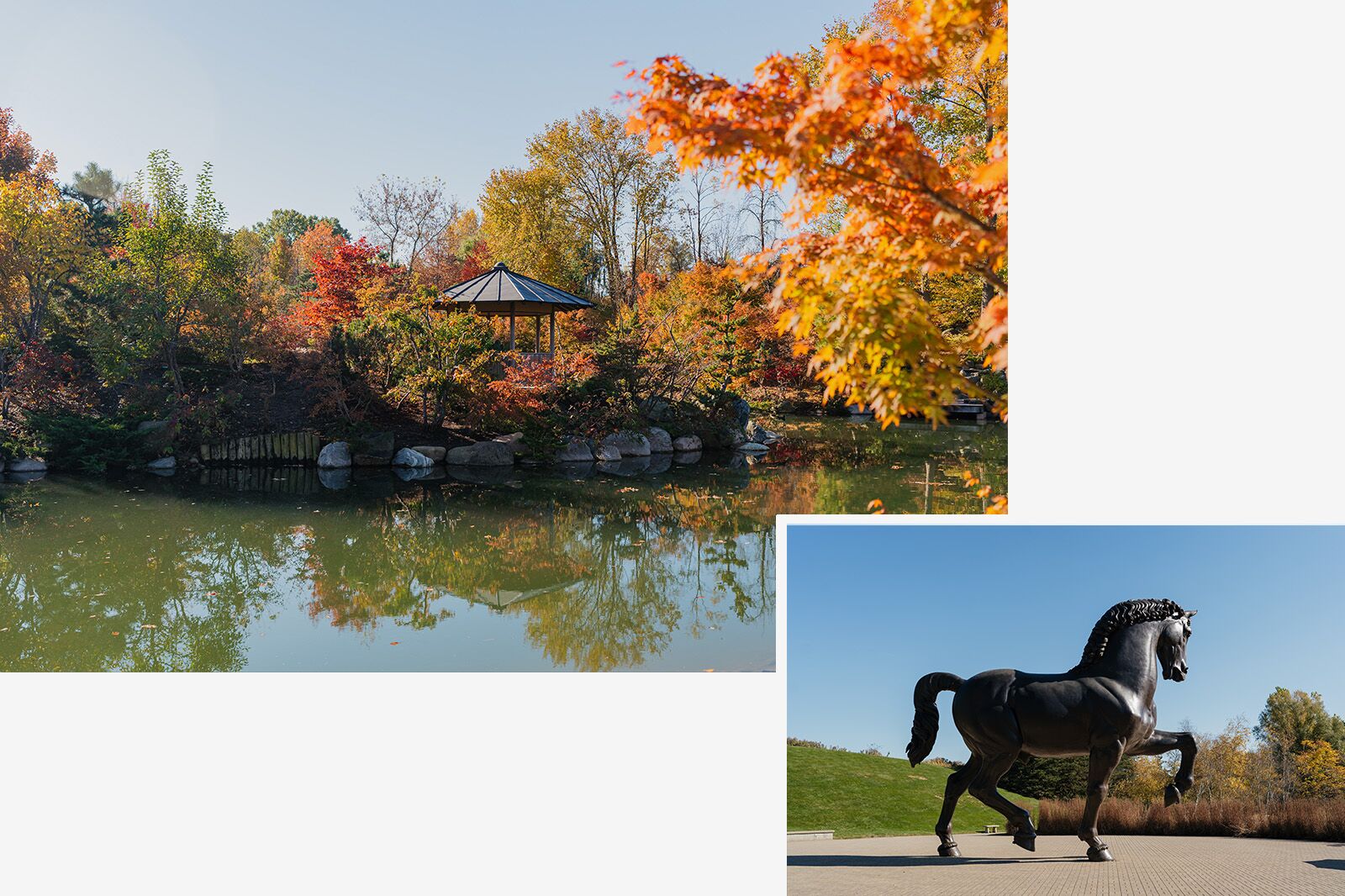 jw marriott grand rapids