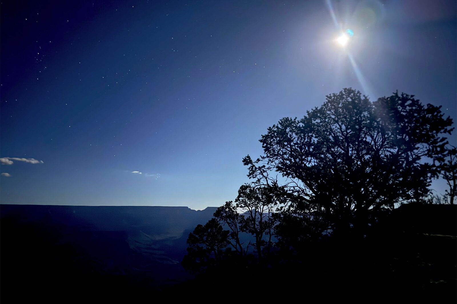 the squire at grand canyon