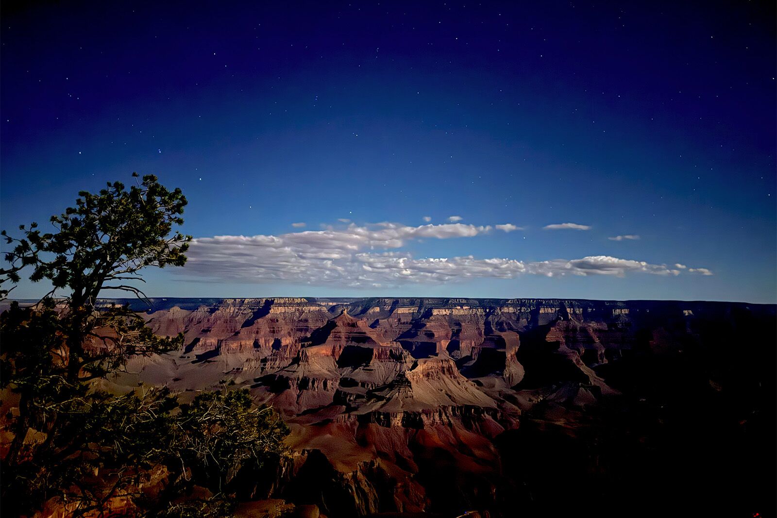 the squire at grand canyon