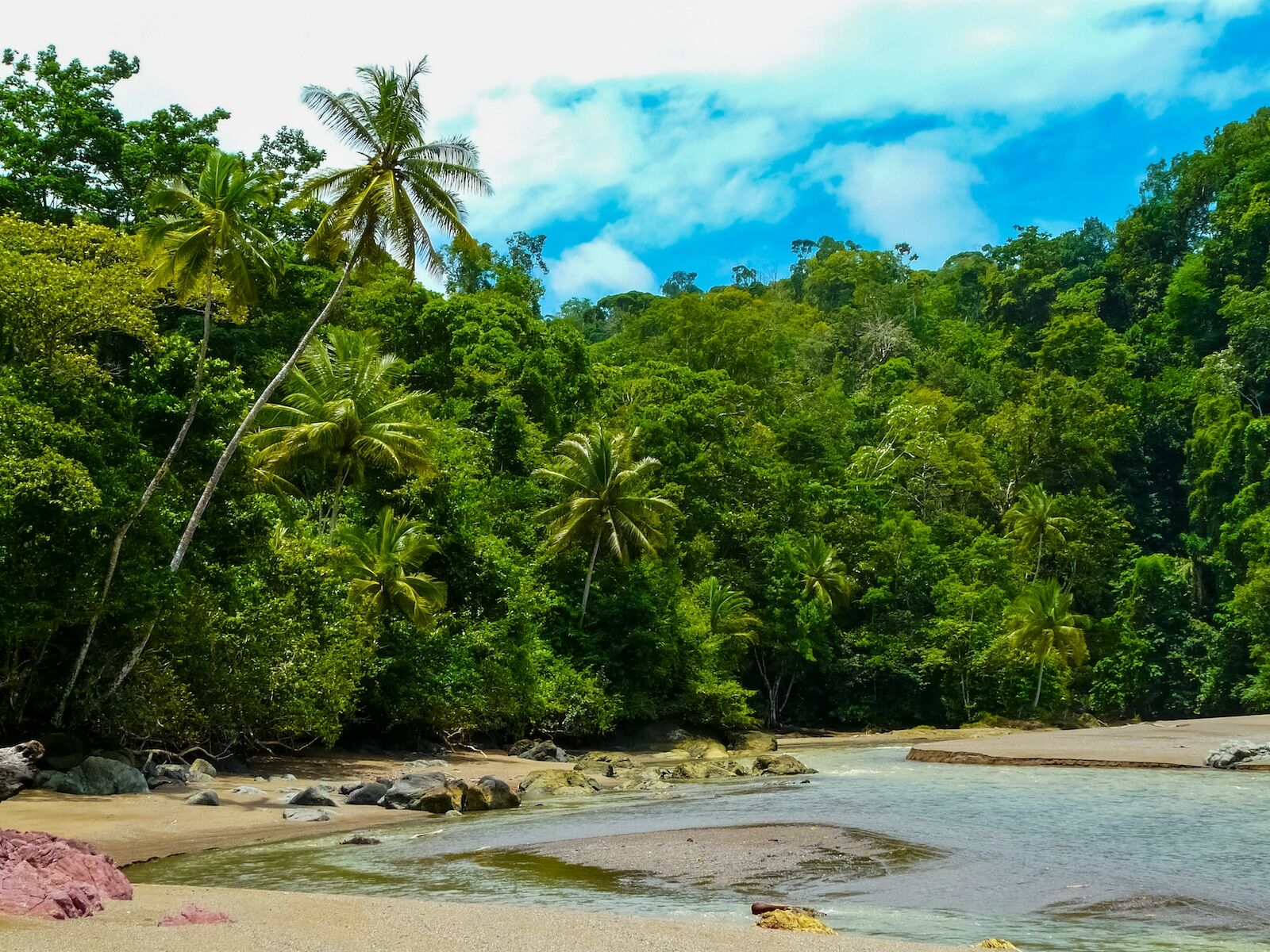 coast in corcovado national park, costa rica