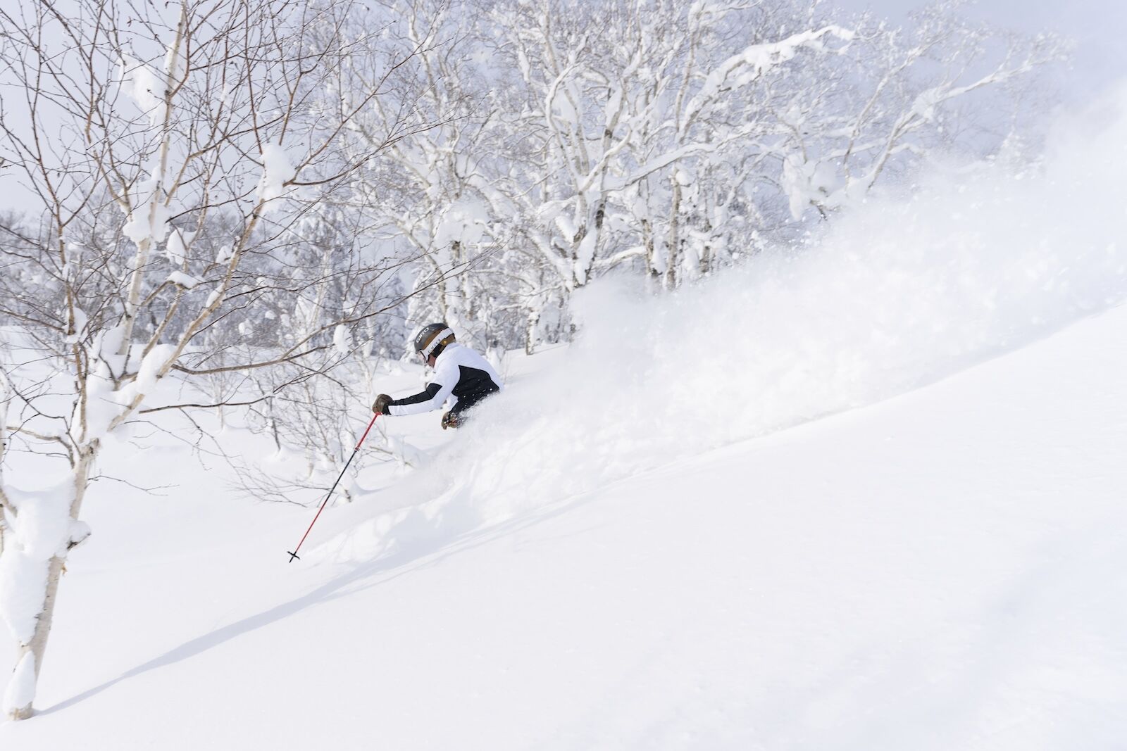 ikon pass asia - skier in furano