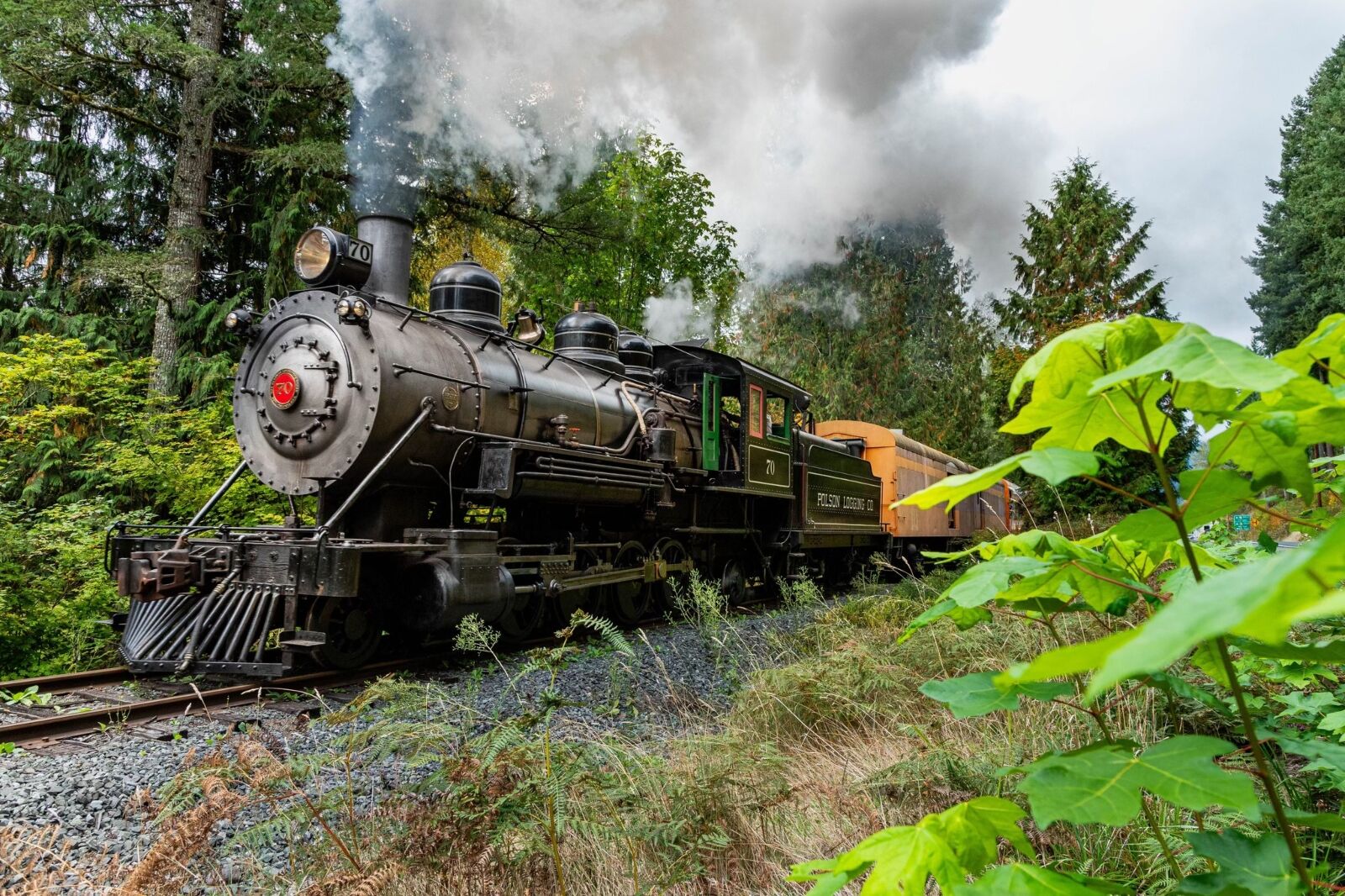 Mount Rainier Scenic Railroad and Museum