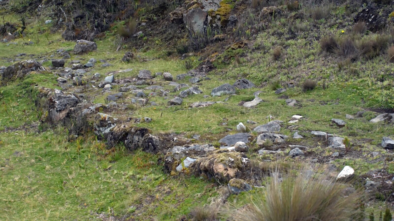 Cañari culture - inca trail