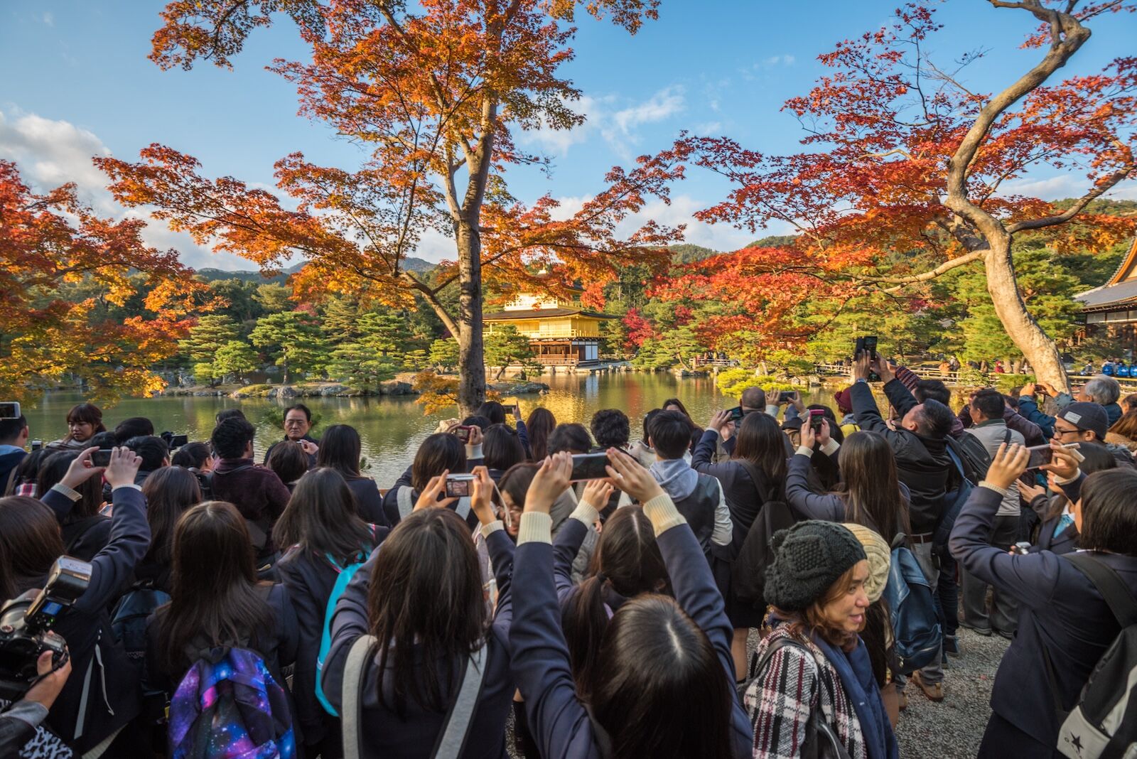 kyoto tourist tax - crowded temple