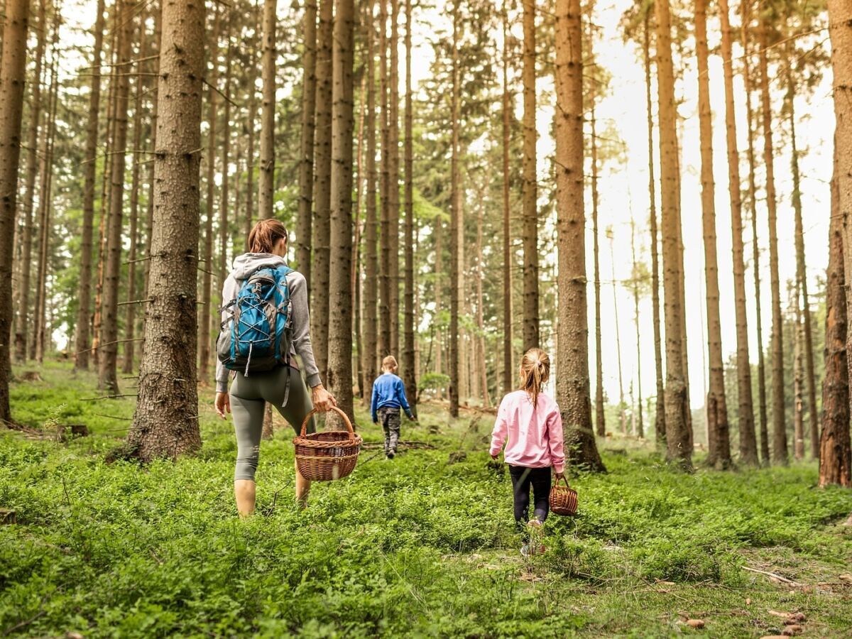 These Global Foraging Skillcations Will Help You Learn to Live Off the Land