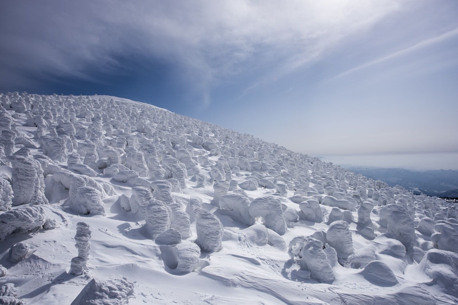 zao onsen ice monsters, japan